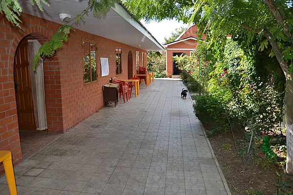 . Гостевой дом   "Отдых". Кучугуры