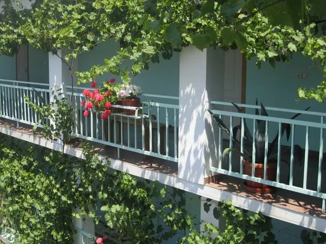 . Гостевой дом "Грант" - Вардане. Вардане