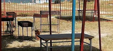 Дом под ключ Лотос