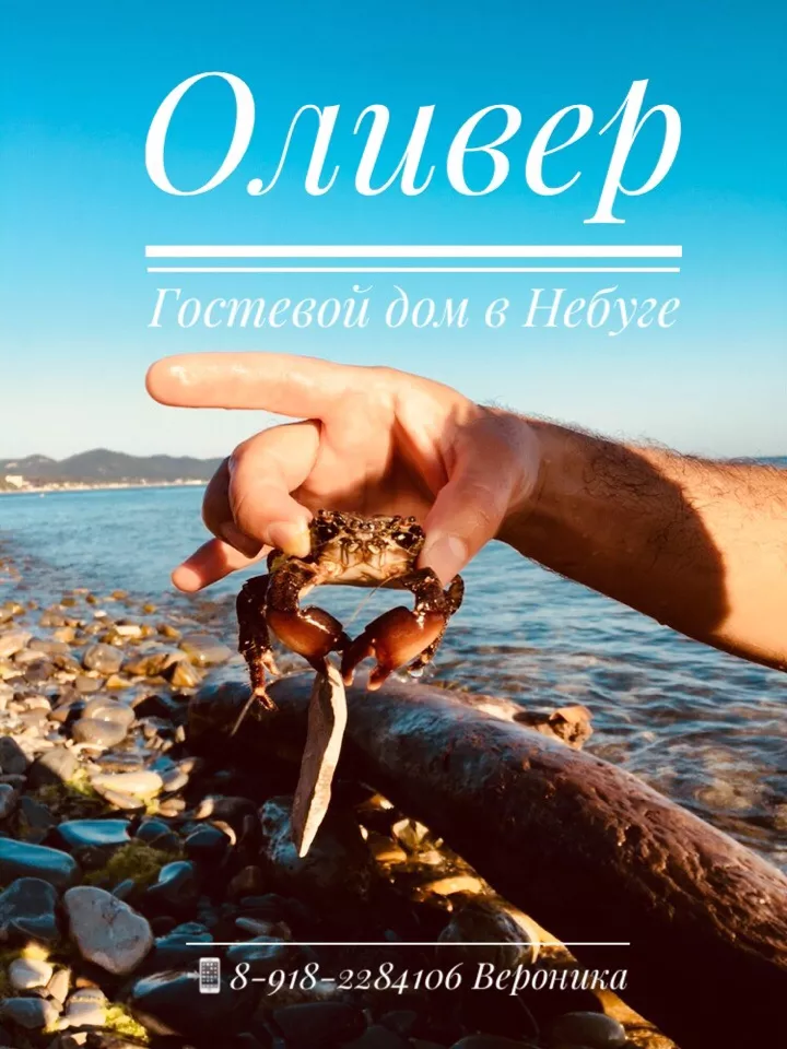 . Гостевой дом "Оливер" в Небуге     . Небуг