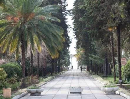 . Пансионат Страна Души. Сухум