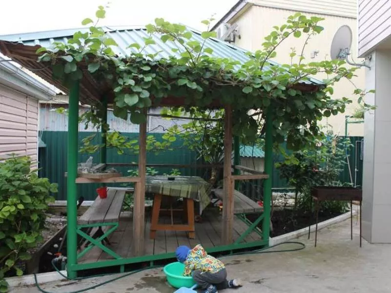 . Дом под ключ "Антей". Небуг . Дом под ключ "Антей". Небуг