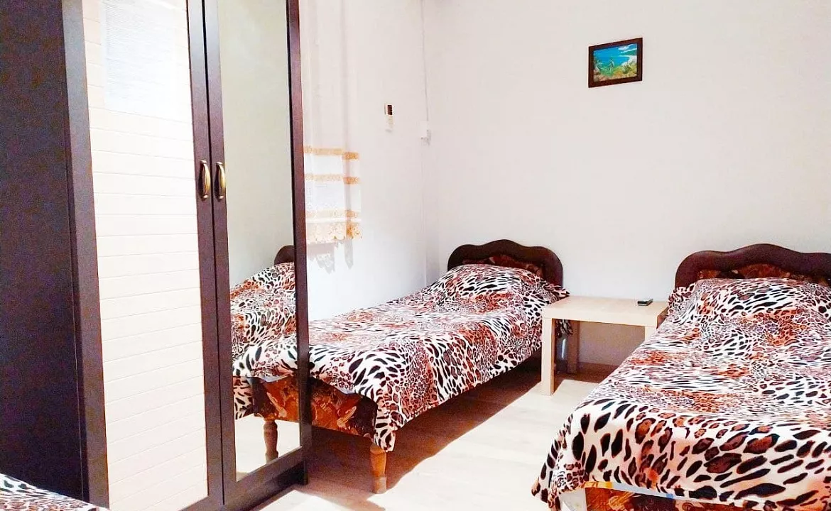 ЭКОНОМ 2-3-МЕСТНЫЙ С ТВ И КОНДИЦИОНЕРОМ. Частный сектор "На Михайловский  8". Архипо-Осиповка