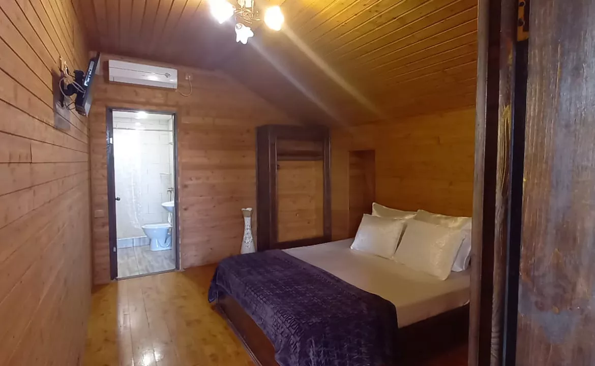 стандарт. Гостевой дом КАМЕЛИЯ. Пицунда