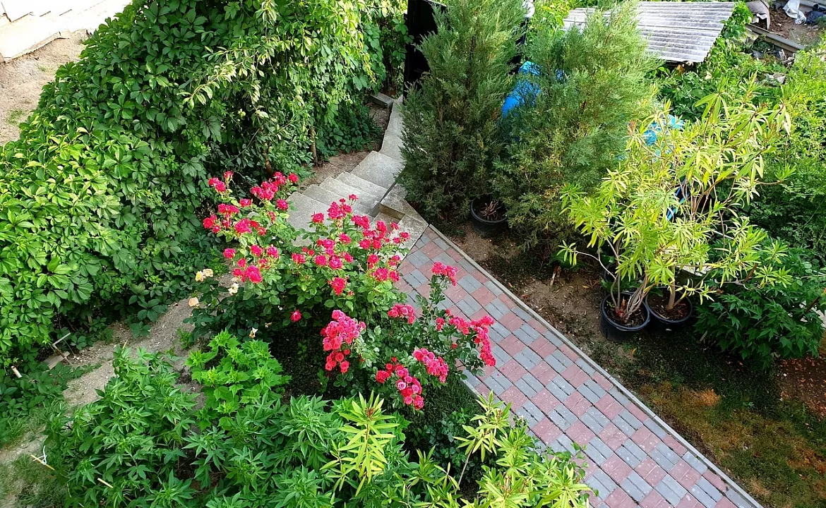 4-МЕСТНЫЙ КОМФОРТ. Гостевой дом "МоревдоМ". Коктебель