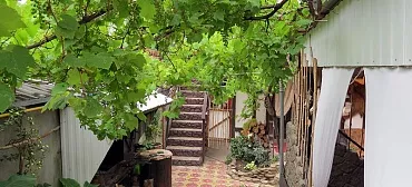 Гостевой дом "Баден-Баден"