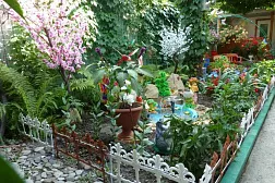 Частный сектор << МАРГАРИТА >> Частный сектор << МАРГАРИТА >>