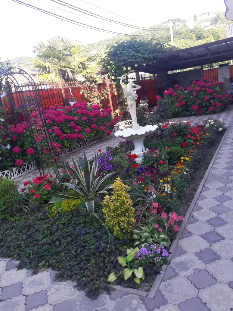 . Гостевой дом "Белый Замок". Лазаревское . Гостевой дом "Белый Замок". Лазаревское