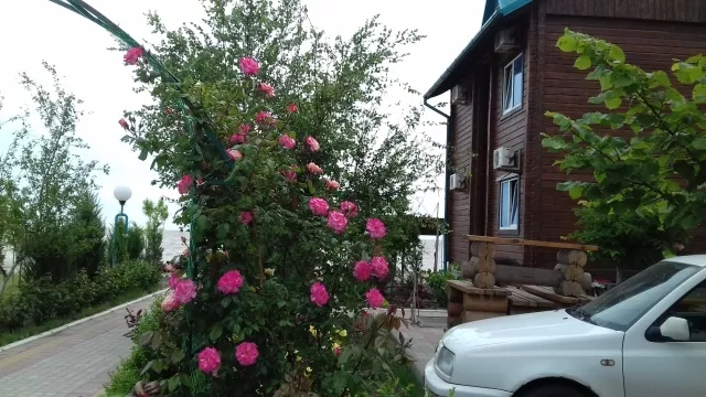 . Гостиница комплекс "Новинка". Ейск