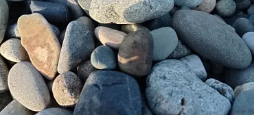 Дом под ключ Дом Дельфин