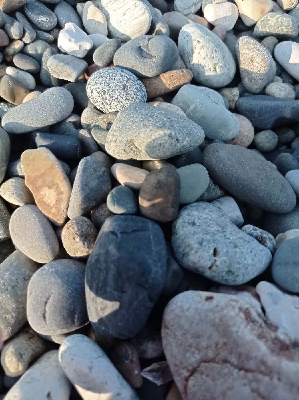 . Дом под ключ Дом Дельфин. Сухум