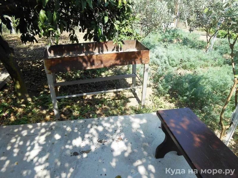 . Частный сектор «У Ануш». Пицунда