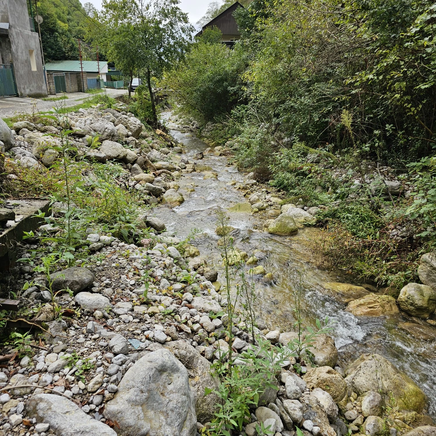 . Гостевой дом "Пантера". Гагра