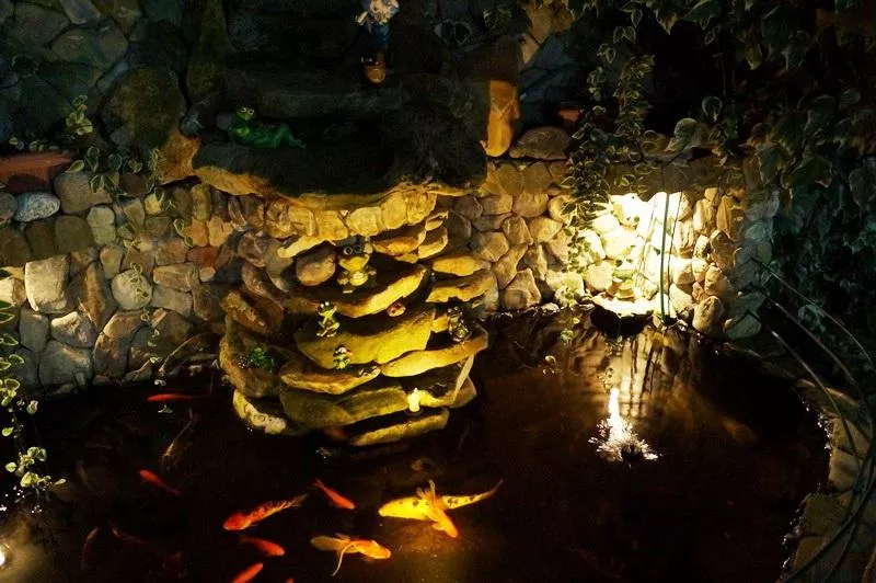 . Гостевой дом Пальма. Якорная Щель