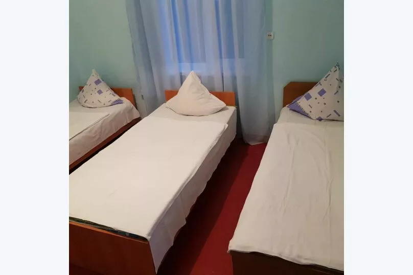 2,3-х местный «Эконом». Гостевой дом Олеандр. Гагра