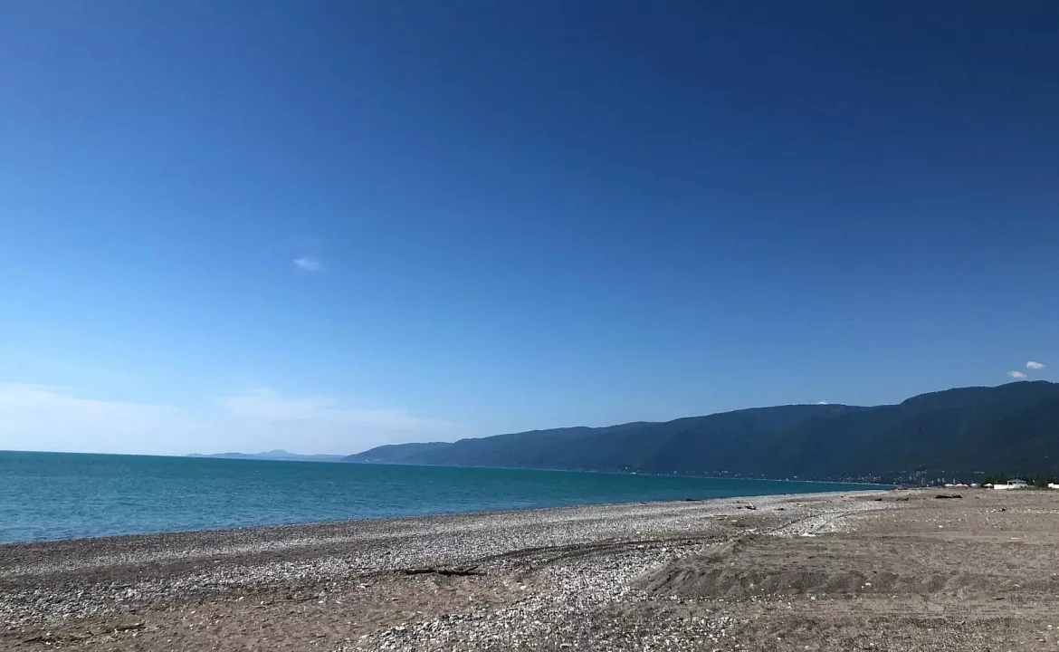 стандарт. Гостевой дом Золотая Рыбка - Гагра. Гагра