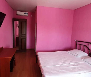 Двухместный номер. Гостевой дом "Розовая пантера". 