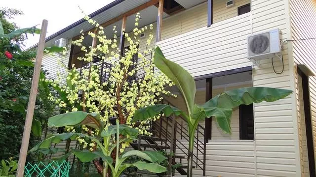 . Частный сектор "Санрайз". Лазаревское