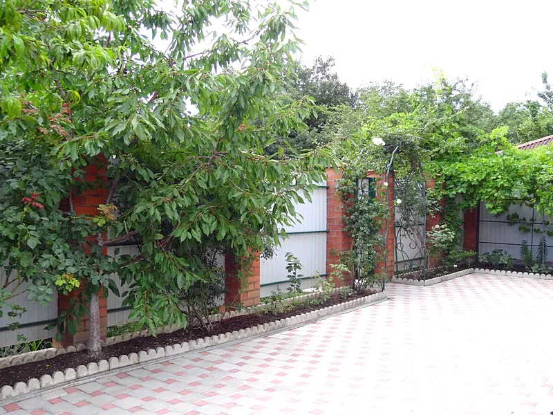 . Гостевой дом "Зеленый дворик" - Голубая бухта. Голубая бухта