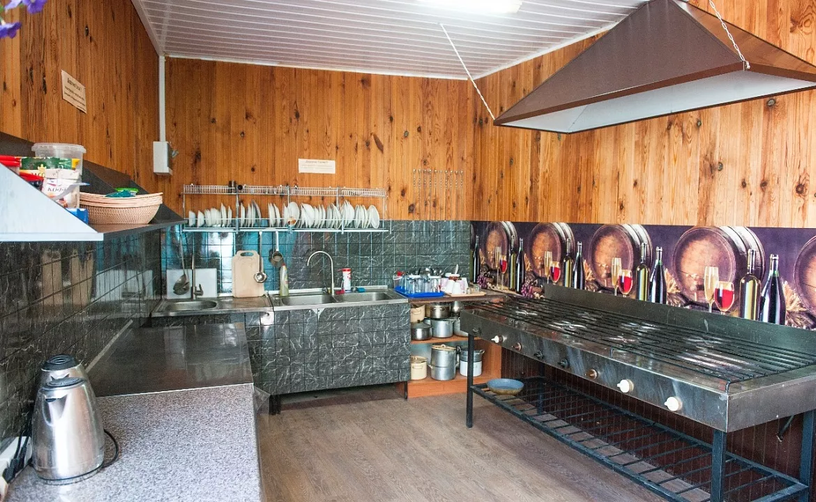 Кухня-общая, летяя. Гостевой дом «Каравелла». Лермонтово Кухня-общая, летяя. Гостевой дом «Каравелла». Лермонтово