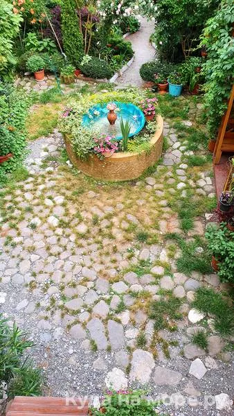 4-местные 1-комнатные апартаменты с кухней. Гостевой дом Алиса - Солоники. Солоники 4-местные 1-комнатные апартаменты с кухней. Гостевой дом Алиса - Солоники. Солоники