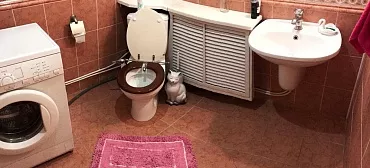 Частный сектор На Весенней 51 Не сдает