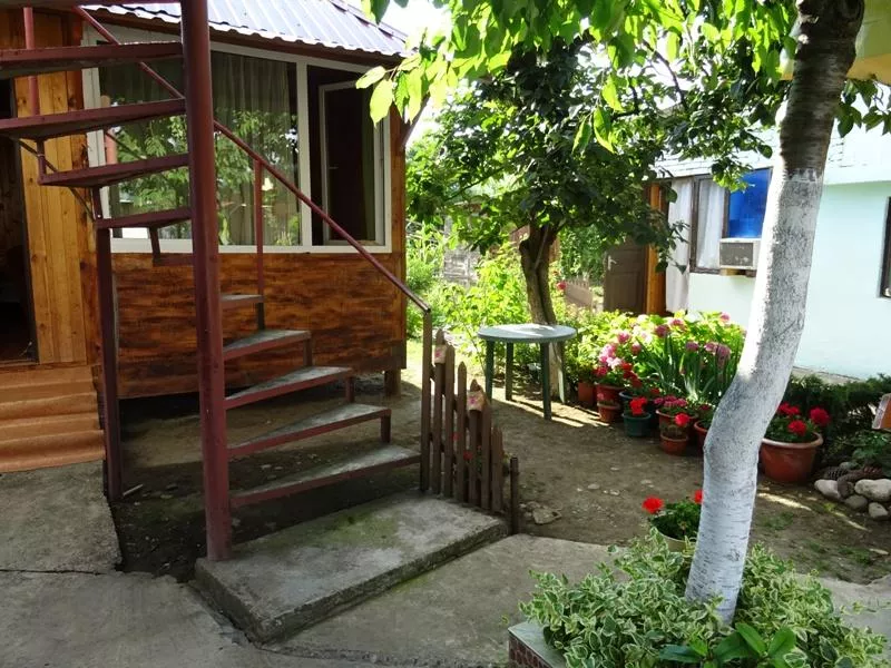 . Частный сектор "В гостях у Нины". Адлер . Частный сектор "В гостях у Нины". Адлер