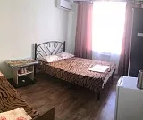 Комната для троих с душем и туалетом на 2 комнаты. Гостевой дом Винтаж. Комната для троих с душем и туалетом на 2 комнаты. Гостевой дом Винтаж.