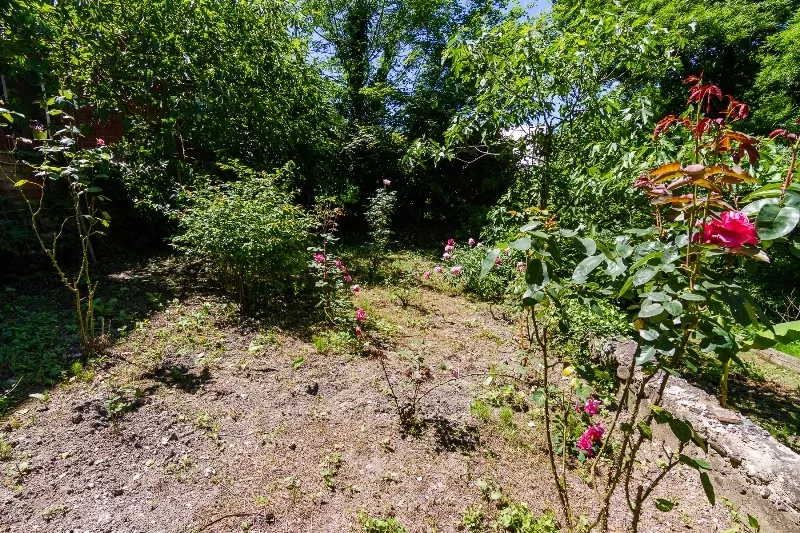 . Гостевой дом "Лесная прохлада". Туапсе