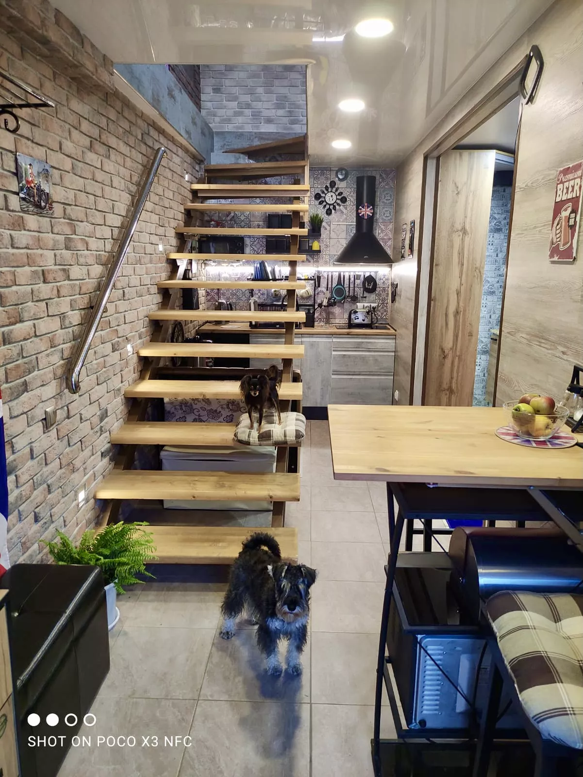 . Квартира в многоквартирном доме на земле в пгт Коктебеле недалеко от моря (700 м), с кондиционером. Коктебель