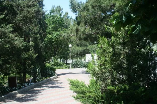 . Отель Мини-отель "Рассвет". Геленджик . Отель Мини-отель "Рассвет". Геленджик