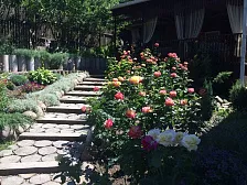 Гостевой дом "Paradise" Гостевой дом "Paradise"