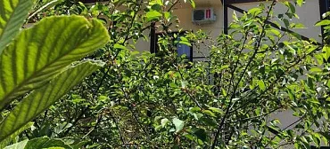 Гостевой дом "Раздолье"