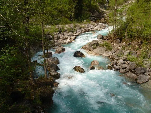 . Гостевой дом Марина Рай. Новый Афон