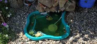 Отель Минигостиница на Краснофлотский ,12