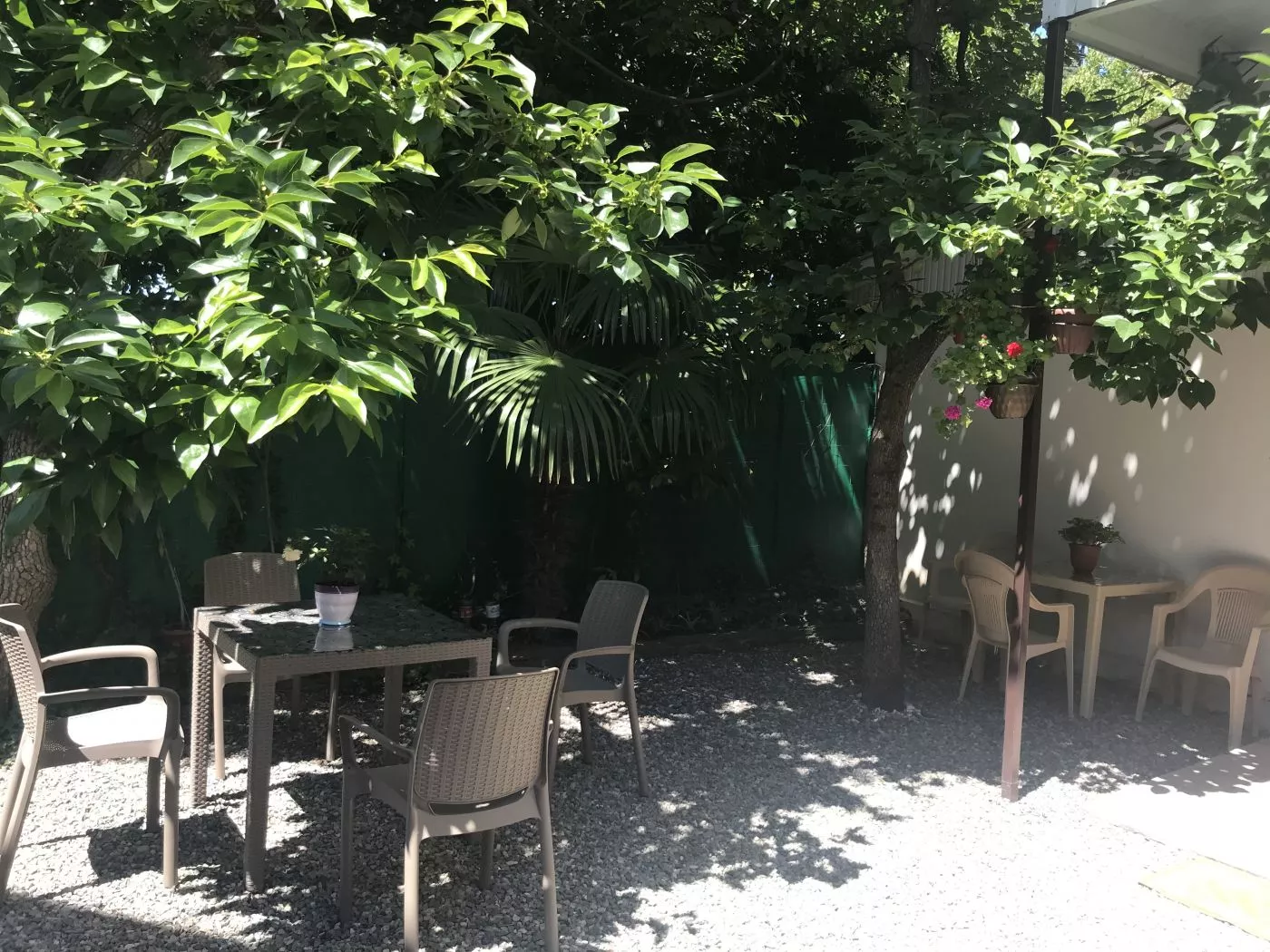 . Частный сектор "Адениум". Лазаревское