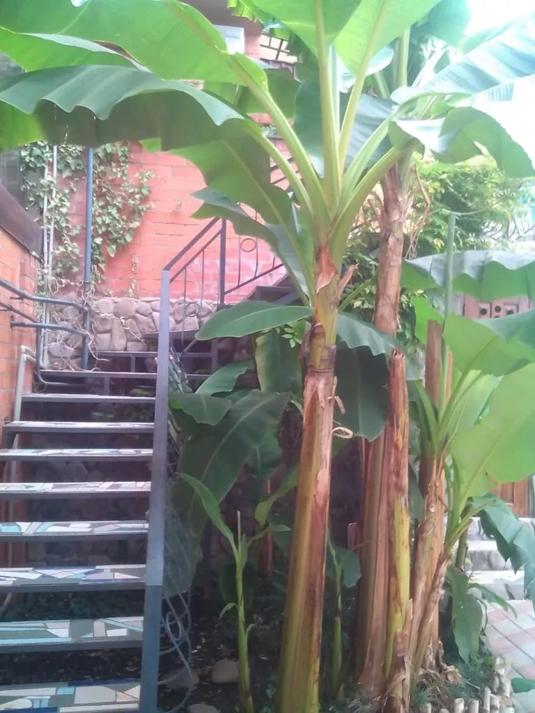 . Гостевой дом КАРАВЕЛЛА. Лазаревское