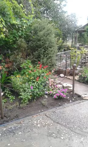 . Гостевой дом "У Риммы"- Цандрипш. Цандрипш