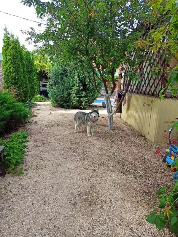 . Гостевой дом "Семья" - Должанская. Должанская