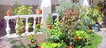 Частный гостевой дом На Чехова