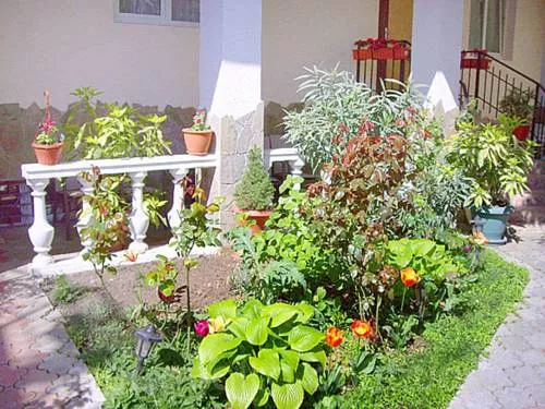 . Частный гостевой дом На Чехова. Ялта