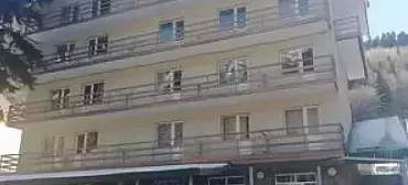 Гостиница «Метелица»