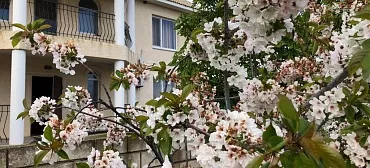 Отель "Морская Крепость" Отель "Морская Крепость"