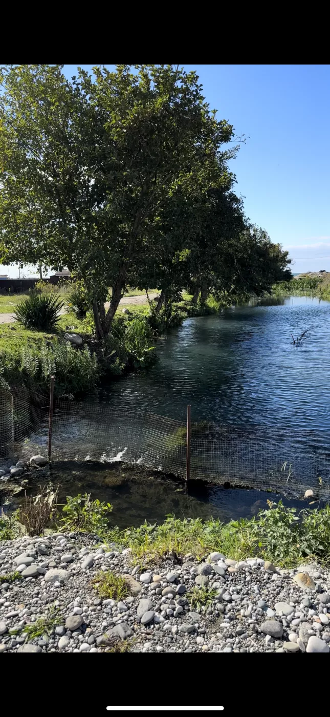 . Гостиница «Язон». Пицунда . Гостиница «Язон». Пицунда