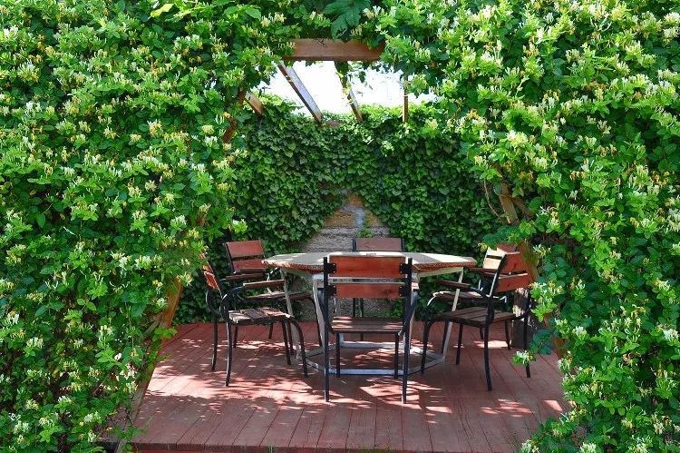 Отель «Дионис»