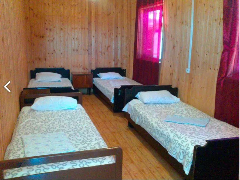 . База отдыха "Дружба" в Веселовке. Веселовка