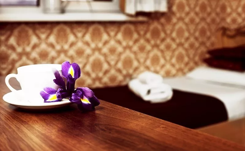 . Гостевой дом "Просперус". Сочи