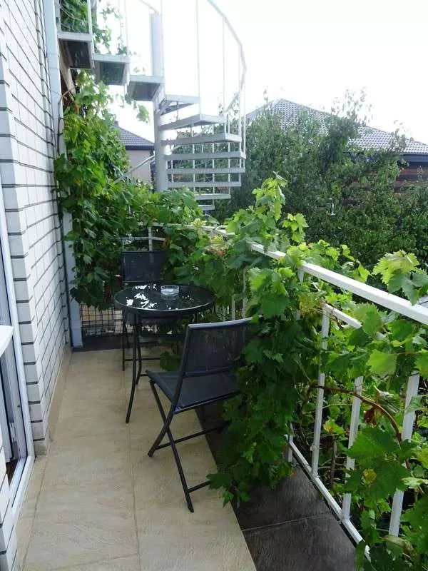 . Частный сектор "Лили-Анна". Кабардинка