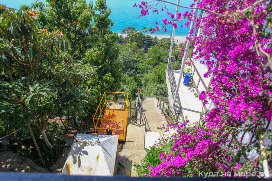 . Отель Дача художников. Гагра