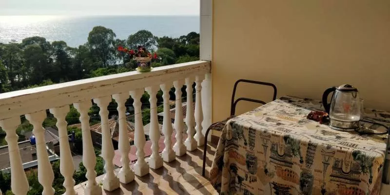 . Гостевой дом "Несник" . Гагра